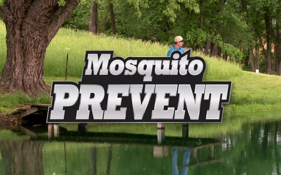 How-To Video: Gordon’s® Mosquito Prevent