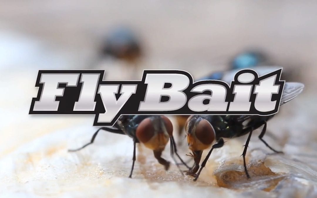 How-To Video: Gordon’s® Fly Bait