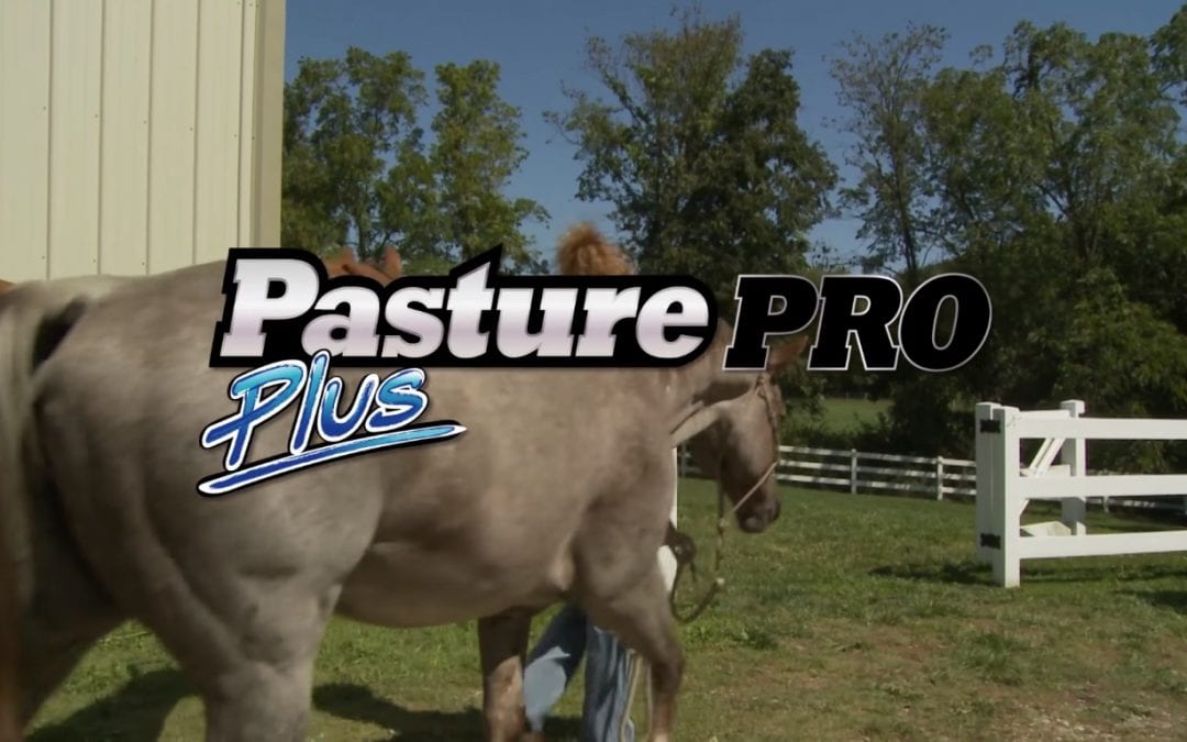 How-To Video: Pasture Pro® Plus One-Step Weed & Feed 15-0-0