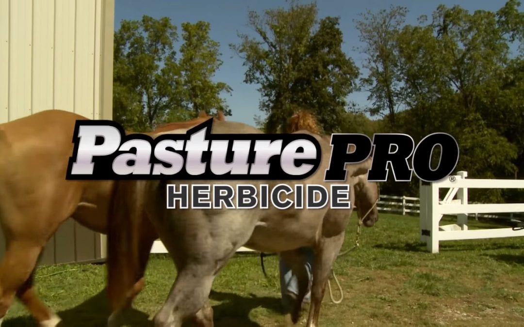 How-To Video: Pasture Pro® Herbicide