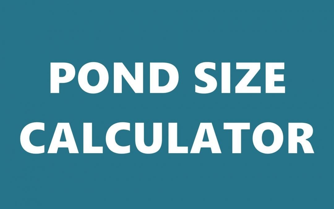 Pond Size Calculator: How to Measure a Pond’s Surface Area