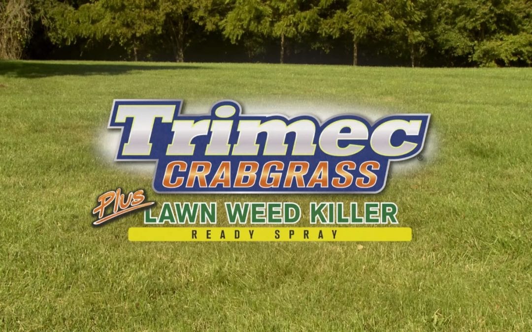 How-To Video: Trimec® Crabgrass Plus Lawn Weed Killer Ready Spray