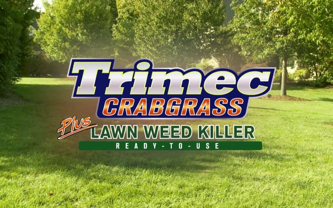 How-To Video: Trimec® Crabgrass Plus Lawn Weed Killer Ready-To-Use