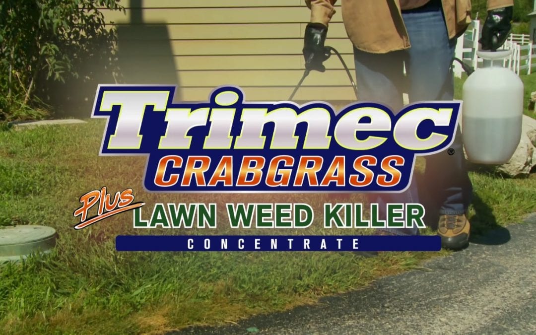 How-To Video: Trimec® Crabgrass Plus Lawn Weed Killer Concentrate