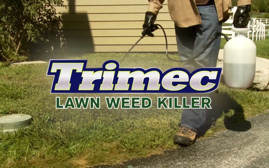 How-To Video: Trimec® Lawn Weed Killer