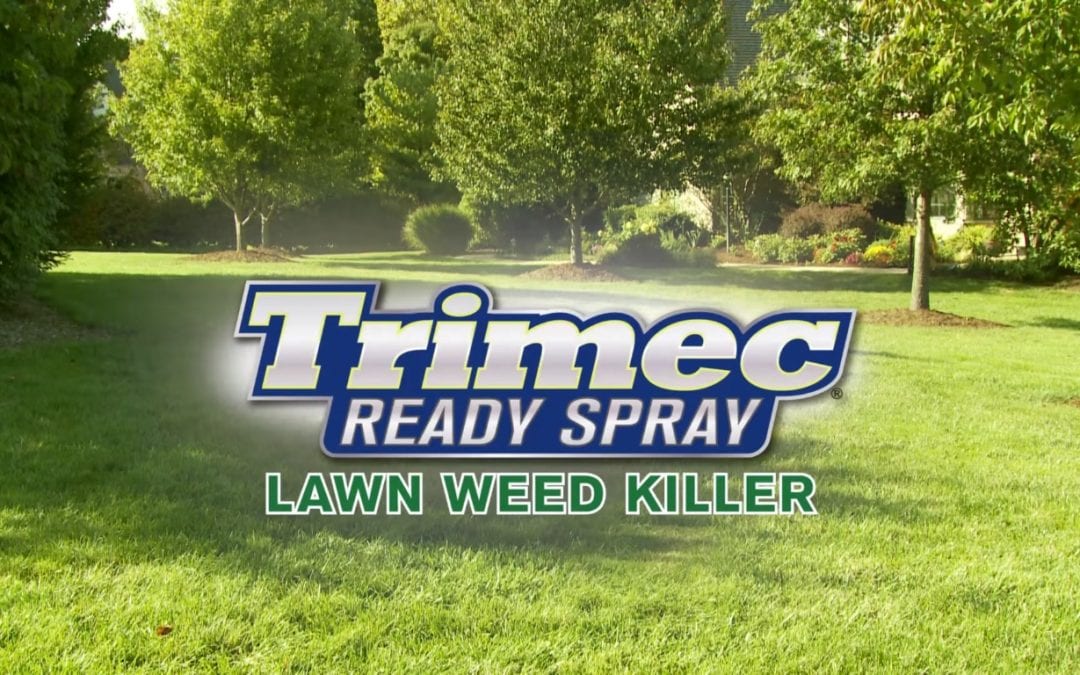 How-To Video: Trimec® Ready Spray Lawn Weed Killer