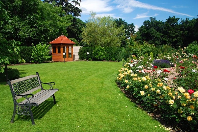 spring-backyard-lawn