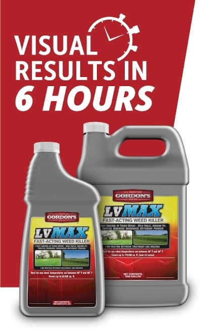 LVMaxVisualResultsCard