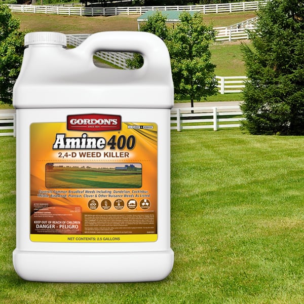 Gordon's Amine 400 Weed Killer Concentrate 1 gal