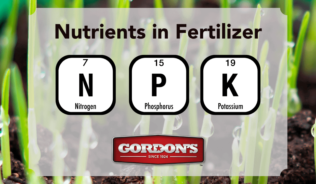 Nutrients in Fertilizer: N = Nitrogen, P = Phosphorus, K = Potassium