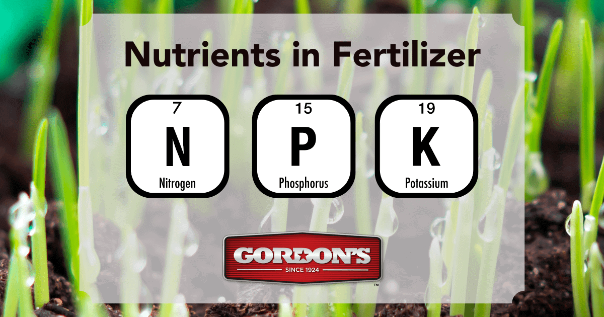 Nutrients in Fertilizer: K = Potassium, N = Nitrogen, P = Phosphorus