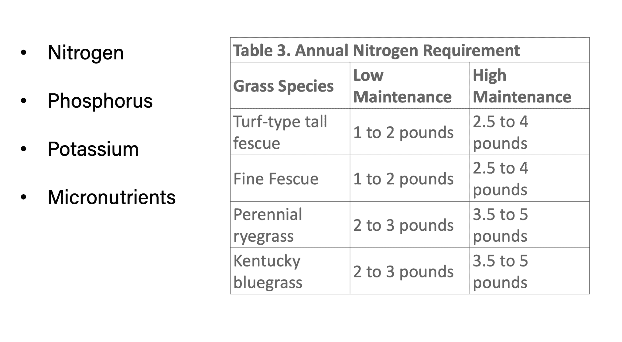 Crabgrass - Isolated