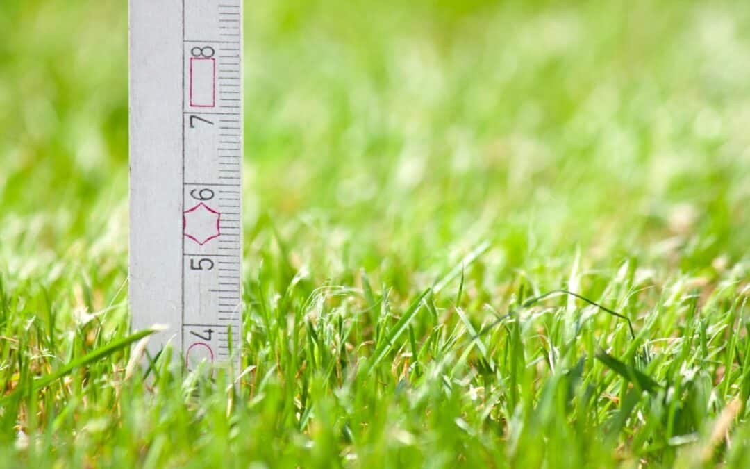 Tips for Growing a Great Lawn Without As Much Fertilizer