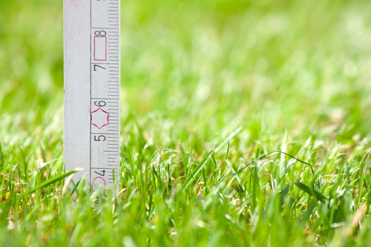 Tips for Growing a Great Lawn Without As Much Fertilizer