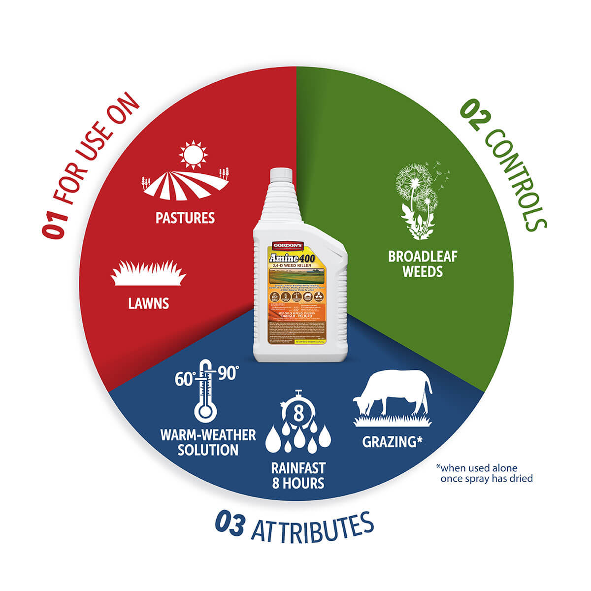 Gordon's Amine 400 2,4-D Weed Killer