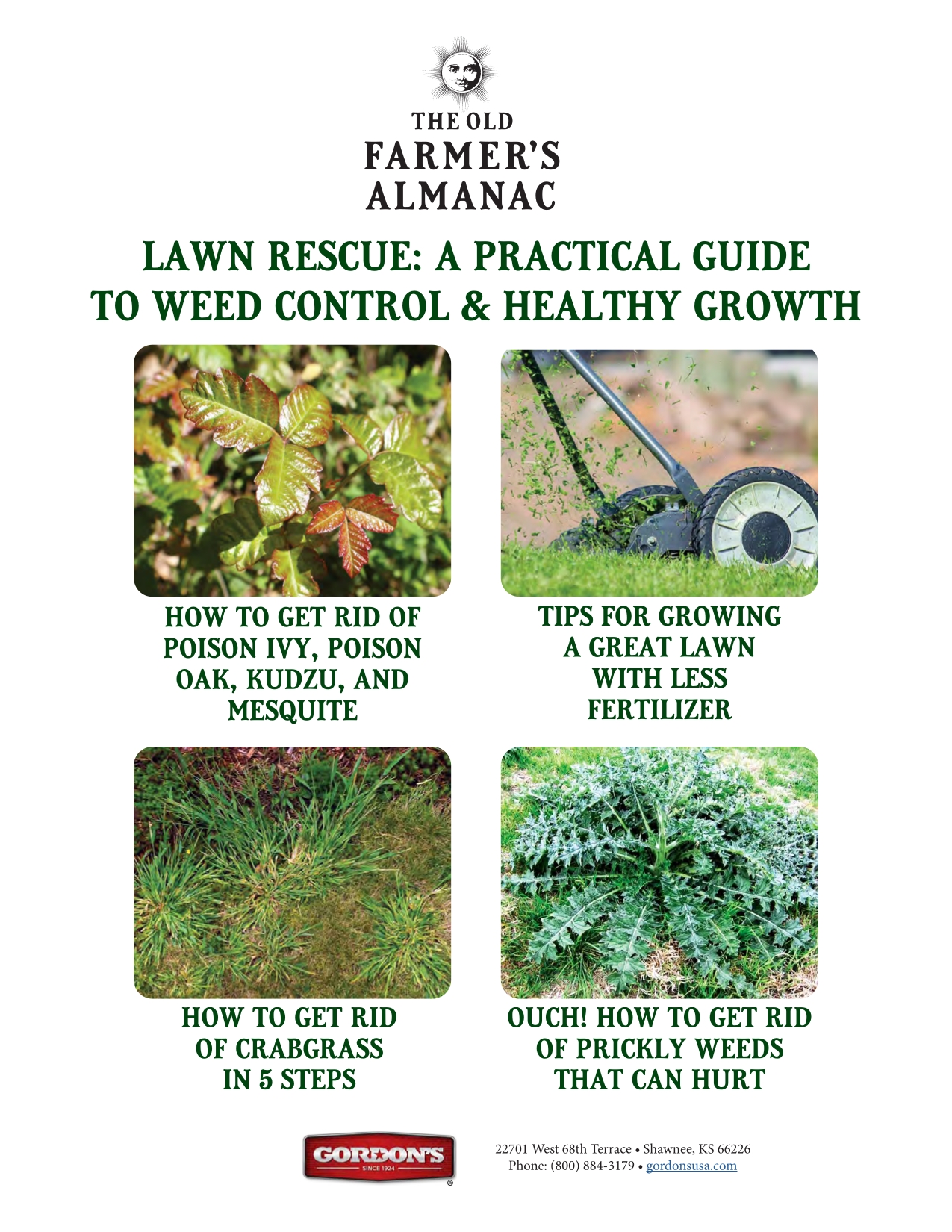 Lawn Rescue: A Practical Guide to Weed Control & Healthy Growth