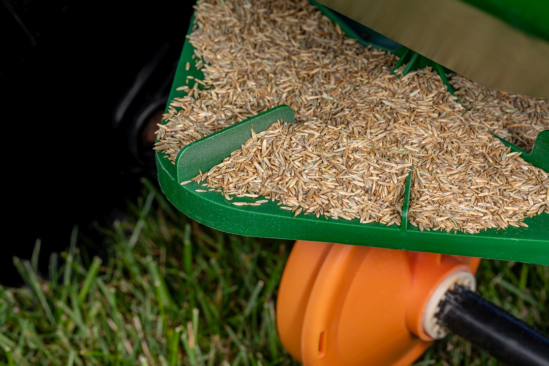 Planting grass seed with broadcast spreader. Lawncare, lawn and yard maintenance concept. Nutrients in Fertilizer: K = Potassium, N = Nitrogen, P = Phosphorus