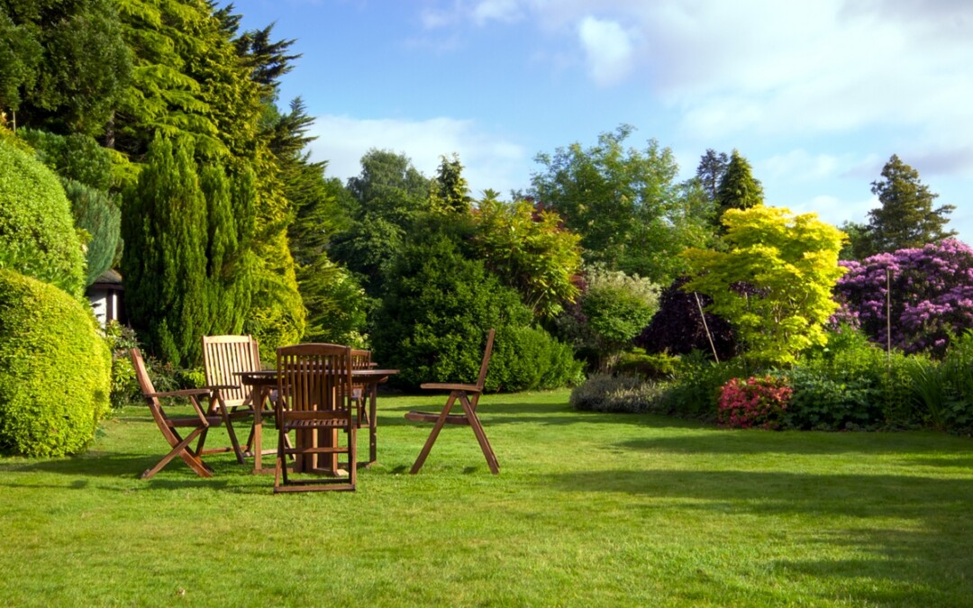 Summer Starts Here: Feed, Protect, and Strengthen Your Lawn, Garden, and Pasture