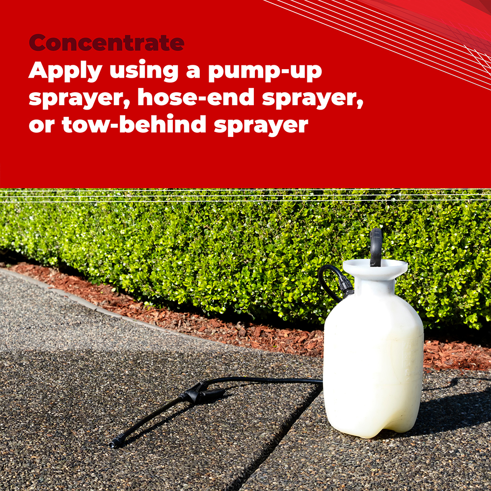 Gordon's® Trimec® Lawn Weed Killer