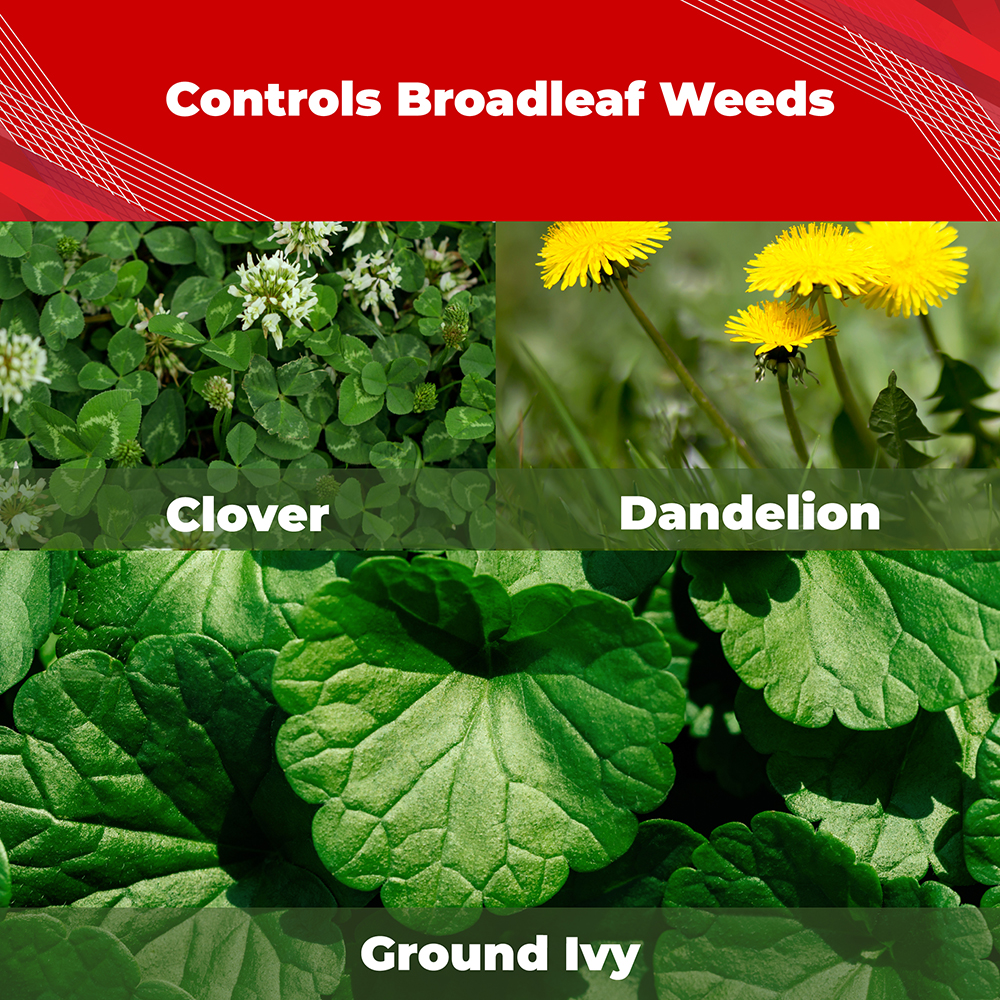 Trimec® Platinum All-In-One Weed Control Concentrate - Gordon's