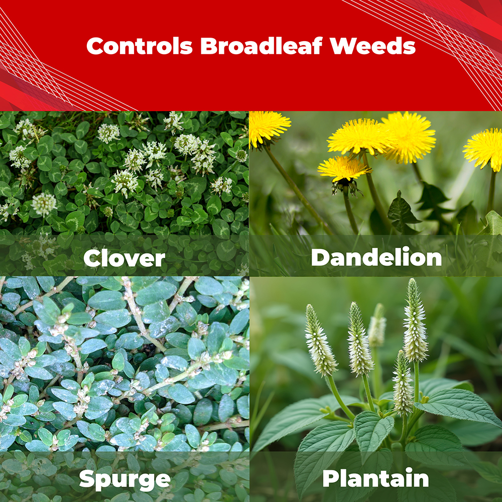 Gordon's® Trimec® Speed Lawn Weed Killer Concentrate