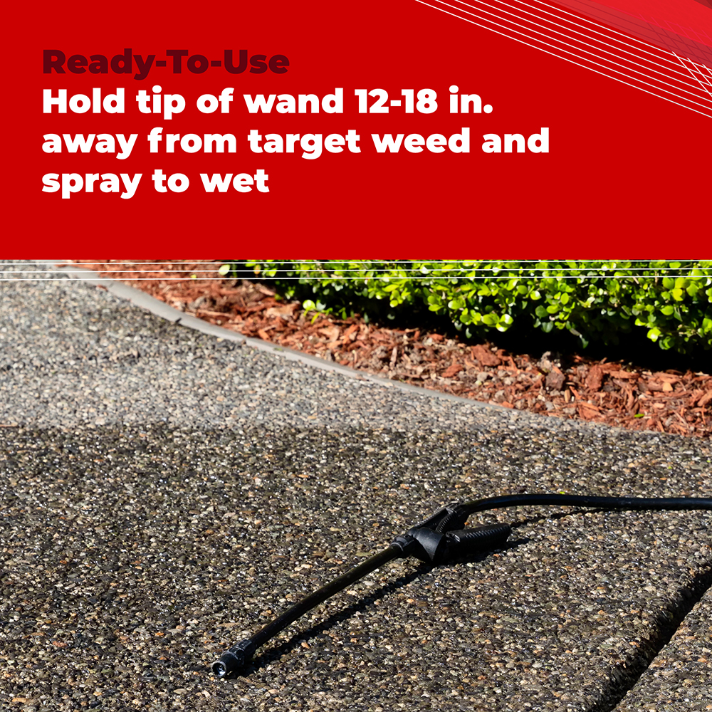 Gordon's® Trimec® Speed Lawn Weed Killer Ready Spray